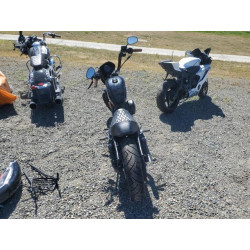 2020 HARLEY-DAVIDSON XL1200 NS 1HD1LP323LB418836 55589745