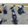 2020 HARLEY-DAVIDSON XL1200 NS 1HD1LP323LB418836 55589745