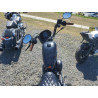2020 HARLEY-DAVIDSON XL1200 NS 1HD1LP323LB418836 55589745