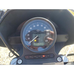 2020 HARLEY-DAVIDSON XL1200 NS 1HD1LP323LB418836 55589745