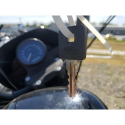 2020 HARLEY-DAVIDSON XL1200 NS 1HD1LP323LB418836 55589745