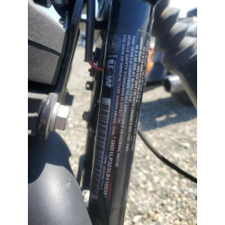 2020 HARLEY-DAVIDSON XL1200 NS 1HD1LP323LB418836 55589745