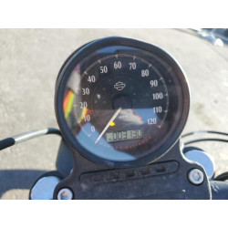 2021 HARLEY-DAVIDSON XL883 N 1HD4LE21XMB416030 53960775