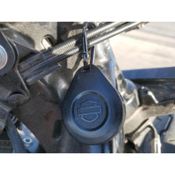 2021 HARLEY-DAVIDSON XL883 N 1HD4LE21XMB416030 53960775