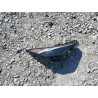 2023 CADILLAC XT6 1GYKPDRS8PZ119320 52404785