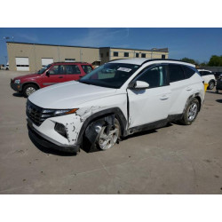 2024 HYUNDAI TUCSON 5NMJB3DE3RH315118 50900105