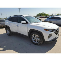 2024 HYUNDAI TUCSON 5NMJB3DE3RH315118 50900105