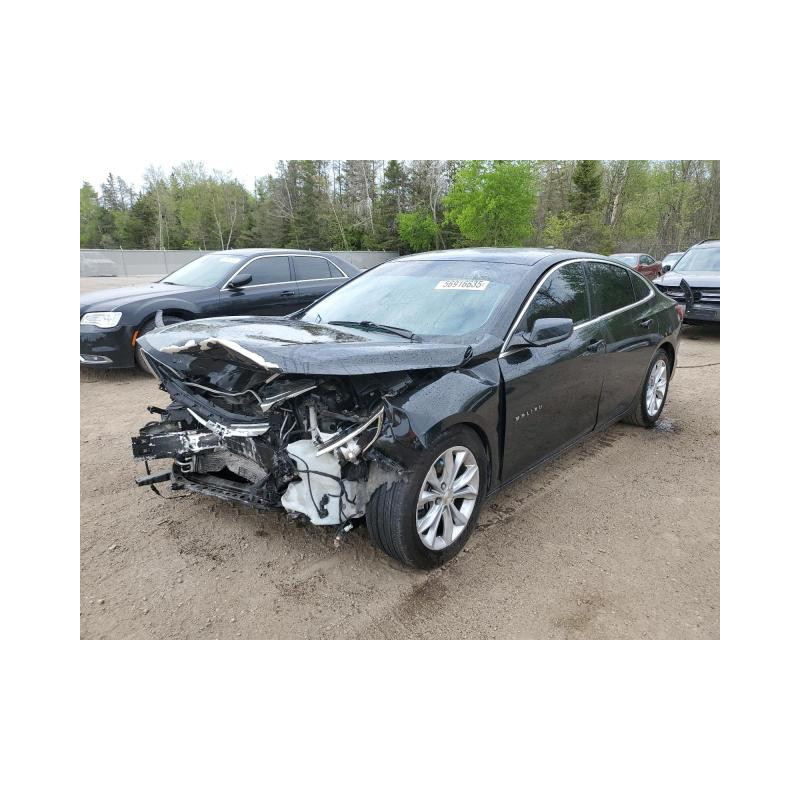 2021 CHEVROLET MALIBU 1G1ZD5ST2MF074290 56916635 2021 CHEVROLET MALIBU 1G1ZD5ST2MF074290 56916635