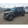 2024 JEEP WRANGLER 1C4PJXDGXRW334039 54206225