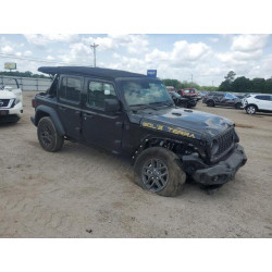 2024 JEEP WRANGLER 1C4PJXDGXRW334039 54206225