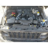 2024 JEEP WRANGLER 1C4PJXDGXRW334039 54206225