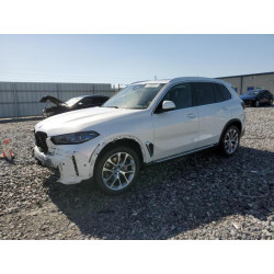 2024 BMW X5 5UX13EU03R9V56877 57077255