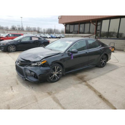 2020 TOYOTA CAMRY 4T1G11AK4LU359457 53549615