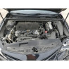 2020 TOYOTA CAMRY 4T1G11AK4LU359457 53549615