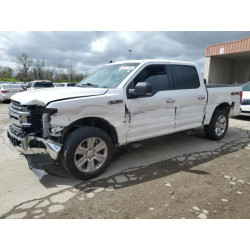 2020 FORD F-150 1FTEW1EP0LFB52748 53917385