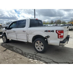 2020 FORD F-150 1FTEW1EP0LFB52748 53917385