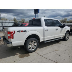 2020 FORD F-150 1FTEW1EP0LFB52748 53917385