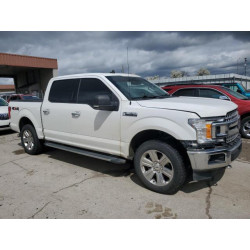 2020 FORD F-150 1FTEW1EP0LFB52748 53917385