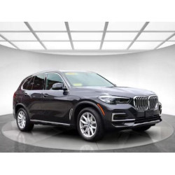 2023 BMW X5 5UXCR6C06P9P75XXX 60862065