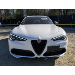2021 ALFA ROMEO STELVIO ZASPAKAN6M7D07890 53282725