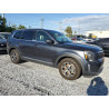 2020 KIA TELLURIDE 5XYP3DHCXLG001439 56702845