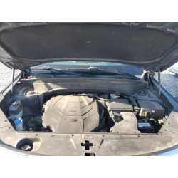 2020 KIA TELLURIDE 5XYP3DHCXLG001439 56702845