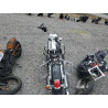 2020 HARLEY-DAVIDSON FL 1HD1FBC15LB656785 56902045