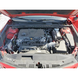 2023 TOYOTA CAMRY 4T1G11AK8PU175533 57306665