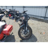 2024 HARLEY-DAVIDSON FXLRS 1HD1YWZ12RB055285 53453465