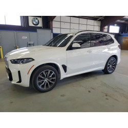 2025 BMW X5 5UX23EU01S9X75945 53264685