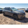 2020 JEEP GRAND CHER 1C4PJLLB3LD543785 50270105