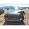 2020 JEEP GRAND CHER 1C4PJLLB3LD543785 50270105