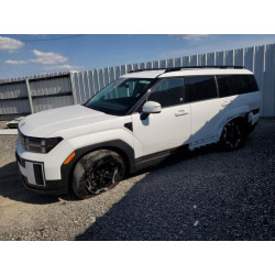 2025 HYUNDAI SANTA FE 5NMP24GLXSH114784 58472325