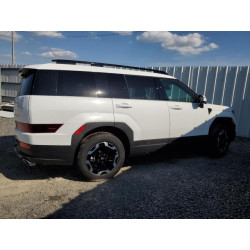 2025 HYUNDAI SANTA FE 5NMP24GLXSH114784 58472325