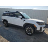 2025 HYUNDAI SANTA FE 5NMP24GLXSH114784 58472325