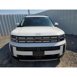 2025 HYUNDAI SANTA FE 5NMP24GLXSH114784 58472325