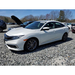 2020 HONDA CIVIC 19XFC1F34LE213750 53991275