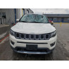 2021 JEEP COMPASS 3C4NJDCB7MT500771 60175565
