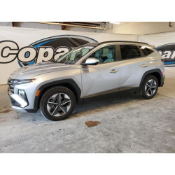 2025 HYUNDAI TUCSON 5NMJBCDE1SH504940 60378595