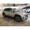 2025 HYUNDAI TUCSON 5NMJBCDE1SH504940 60378595