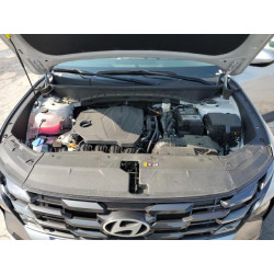 2025 HYUNDAI TUCSON 5NMJBCDE1SH504940 60378595