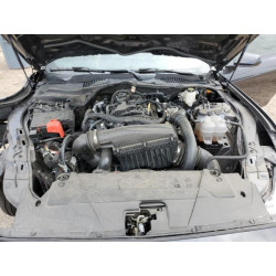 2024 FORD ALL Models 1FA6P8TH1R5140019 54424635