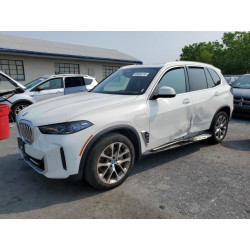 2024 BMW X5 5UX43EU01R9U24147 60604115