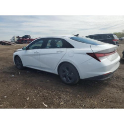 2023 HYUNDAI ELANTRA 5NPLM4AG8PH112739 55936845