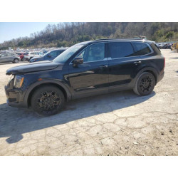 2021 KIA TELLURIDE 5XYP5DHC8MG124720 48765715