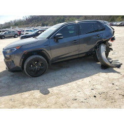 2020 TOYOTA RAV4 4T3EWRFV4LU004466 48866145