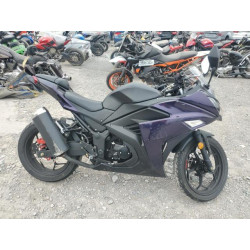 2024 DONG MOTORCYCLE LXDPCJRU4R1041109 60469475