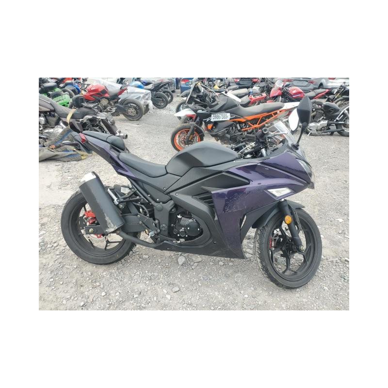 2024 DONG MOTORCYCLE LXDPCJRU4R1041109 60469475 2024 DONG MOTORCYCLE LXDPCJRU4R1041109 60469475
