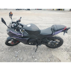 2024 DONG MOTORCYCLE LXDPCJRU4R1041109 60469475