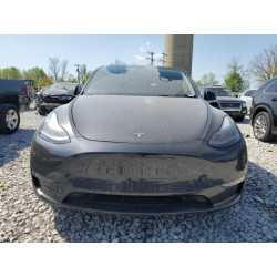 2024 TESLA MODEL Y 7SAYGDEF6RF156631 56289355